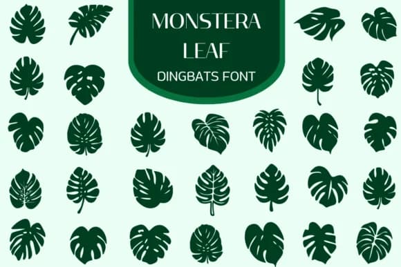 Monstera Leaf by Heartcraft Atelier — Dingbats Font