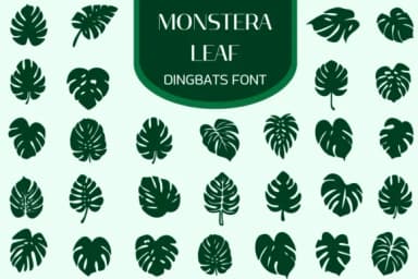 Monstera Leaf by Heartcraft Atelier — Dingbats Font — thumbnail 1