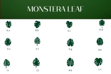 Monstera Leaf by Heartcraft Atelier — Dingbats Font — thumbnail 2