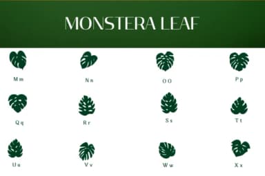 Monstera Leaf by Heartcraft Atelier — Dingbats Font — thumbnail 3