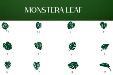 Monstera Leaf by Heartcraft Atelier — Dingbats Font — thumbnail 4