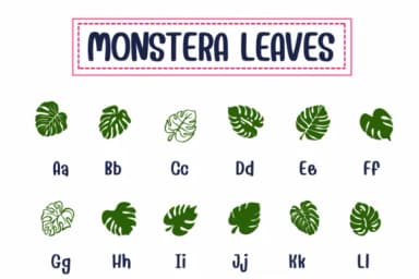 Monstera Leaves by PraewDesigns — Dingbats Font — thumbnail 2