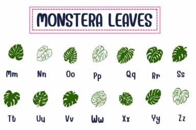 Monstera Leaves by PraewDesigns — Dingbats Font — thumbnail 3