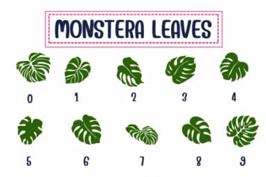 Monstera Leaves by PraewDesigns — Dingbats Font — thumbnail 4
