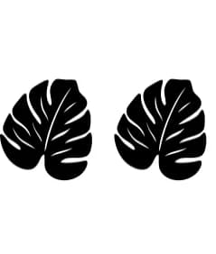 Monstera Leaves by PraewDesigns — Dingbats Font — thumbnail 8