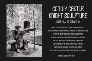 Morrow by Almairatype Studio — Slab Serif Font — thumbnail 7