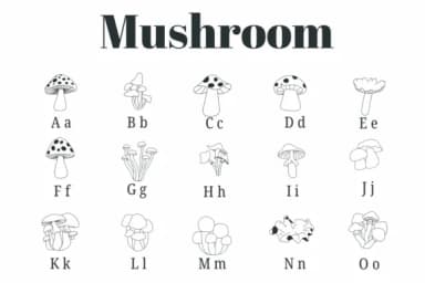 Mushroom by Suphitchaya — Dingbats Font — thumbnail 2
