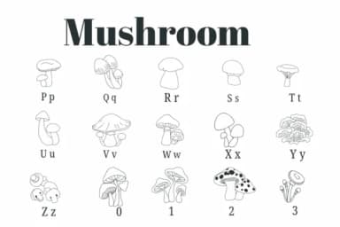 Mushroom by Suphitchaya — Dingbats Font — thumbnail 3