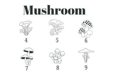 Mushroom by Suphitchaya — Dingbats Font — thumbnail 4