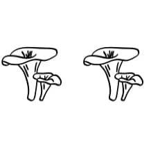 Mushroom Doodles by Heartcraft Atelier — Dingbats Font — thumbnail 8