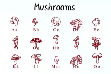Mushrooms by Nongyao — Dingbats Font — thumbnail 2