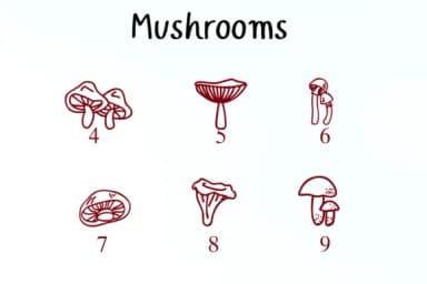 Mushrooms by Nongyao — Dingbats Font — thumbnail 4