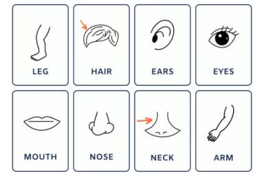 My Body by Nun Sukhwan — Dingbats Font — thumbnail 4