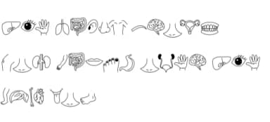 My Body by Nun Sukhwan — Dingbats Font — thumbnail 6