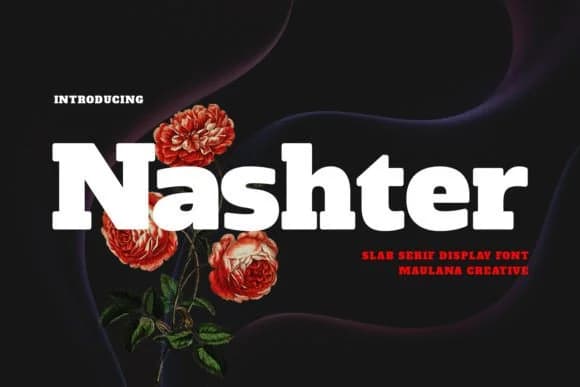 Nashter by Maulana Creative — Slab Serif Font
