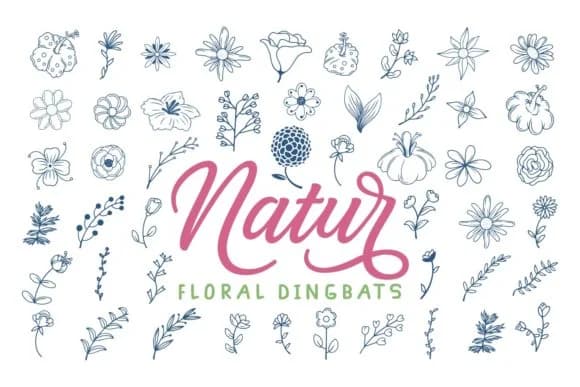 Natur by Dito (7NTypes) — Dingbats Font