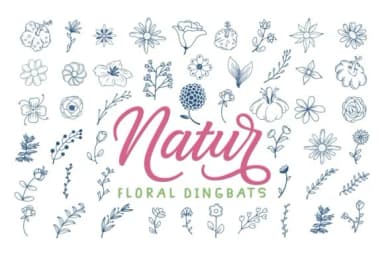 Natur by Dito (7NTypes) — Dingbats Font — thumbnail 1