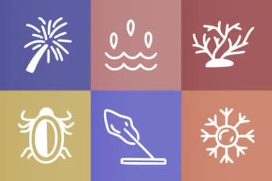 Natural by YandiDesigns — Dingbats Font — thumbnail 3