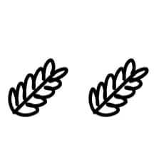 Natural by fonty88 — Dingbats Font — thumbnail 4