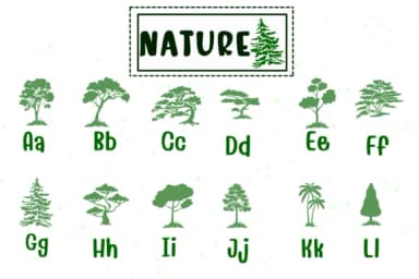 Nature by PraewDesigns — Dingbats Font — thumbnail 2