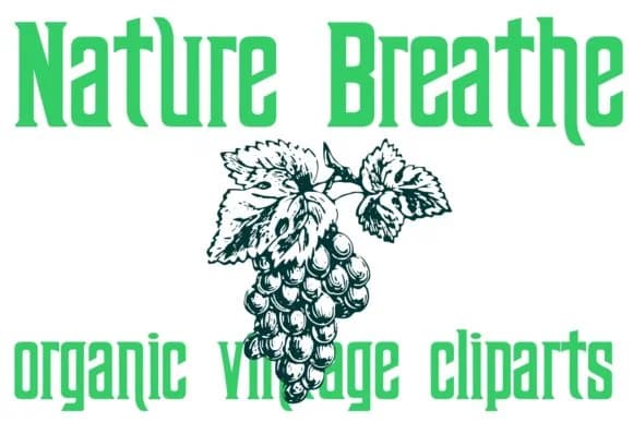 Nature Breathe by Intellecta Design — Dingbats Font
