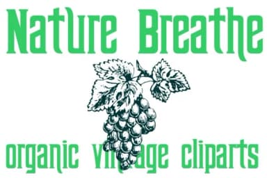 Nature Breathe by Intellecta Design — Dingbats Font — thumbnail 1