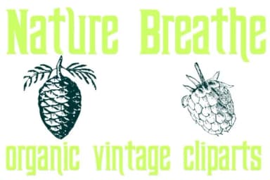 Nature Breathe by Intellecta Design — Dingbats Font — thumbnail 2