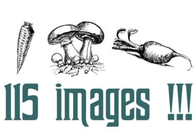 Nature Breathe by Intellecta Design — Dingbats Font — thumbnail 3