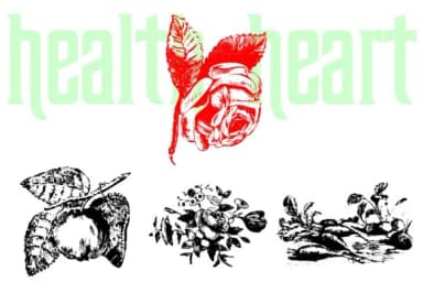 Nature Breathe by Intellecta Design — Dingbats Font — thumbnail 4