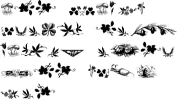 Nature Breathe by Intellecta Design — Dingbats Font — thumbnail 7