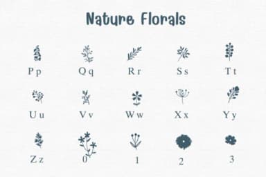 Nature Florals by Sontaya — Dingbats Font — thumbnail 3