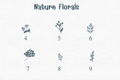 Nature Florals by Sontaya — Dingbats Font — thumbnail 4