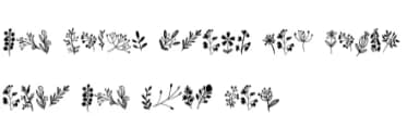 Nature Florals by Sontaya — Dingbats Font — thumbnail 8