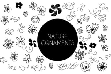 Nature Ornaments by goodigital — Dingbats Font — thumbnail 1