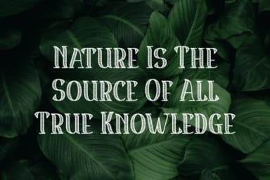 Nature Reserve by Riman (7NTypes) — Slab Serif Font — thumbnail 2