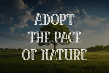 Nature Reserve by Riman (7NTypes) — Slab Serif Font — thumbnail 5