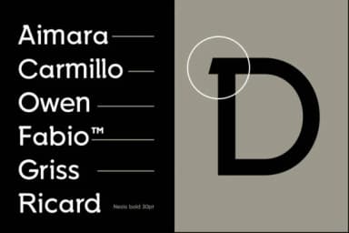 Nesia Sans by Ryan Vierra — Slab Serif Font — thumbnail 4