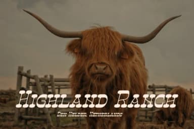 Ngarai Biscet by Denustudios — Slab Serif Font — thumbnail 4