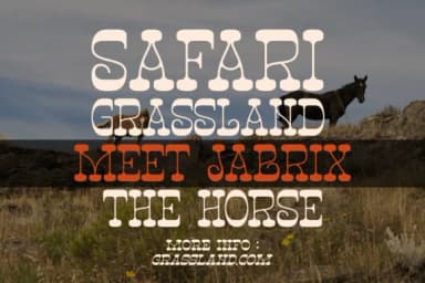 Ngarai Biscet by Denustudios — Slab Serif Font — thumbnail 6