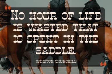 Ngarai Biscet by Denustudios — Slab Serif Font — thumbnail 8