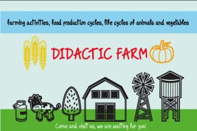 Nice Picture by Fontsandfashion — Dingbats Font — thumbnail 4