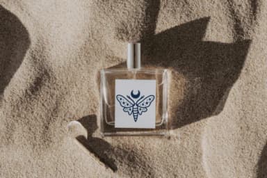 Night Butterfly by Chonada — Dingbats Font — thumbnail 6