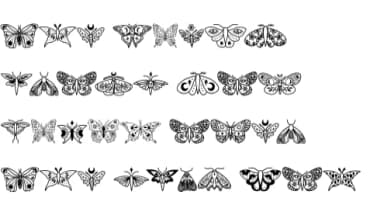 Night Butterfly by Chonada — Dingbats Font — thumbnail 8