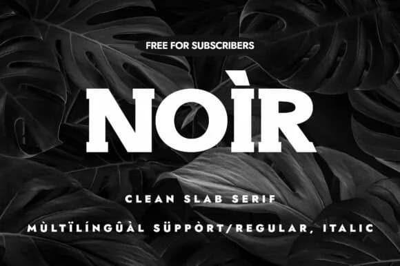 Noir by Minimalistartstudio — Slab Serif Font