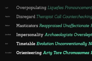 Noirda by Hanaksara Studio — Slab Serif Font — thumbnail 3