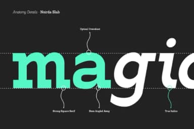 Noirda by Hanaksara Studio — Slab Serif Font — thumbnail 4