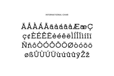 Norheast Slab by uicreativenet — Slab Serif Font — thumbnail 8