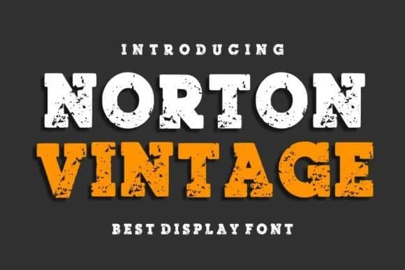 Norton Vintage by Infinity art Studio — Slab Serif Font