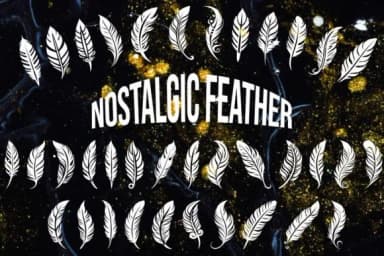 Nostalgic Feather by MOMAT THIRTYONE — Dingbats Font — thumbnail 1
