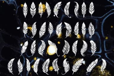 Nostalgic Feather by MOMAT THIRTYONE — Dingbats Font — thumbnail 2